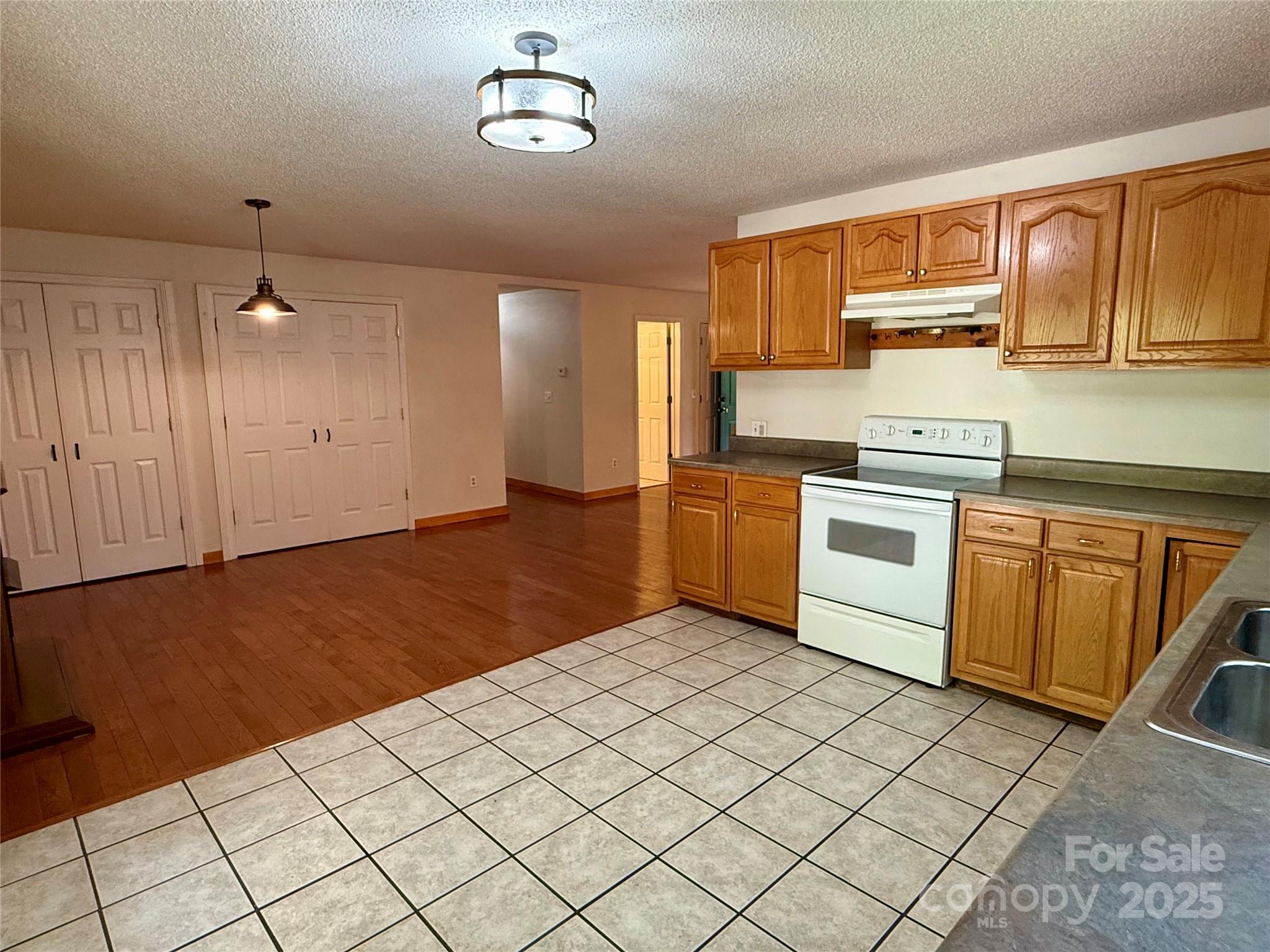 66 Ashlyn Lane Tryon, NC 28782 - Photo 24 of 40 a kitchen with a stove a sink and cabinets