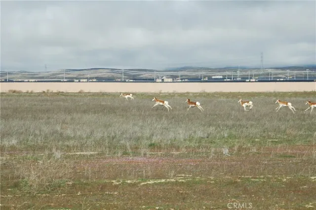 a view of an ocean beach