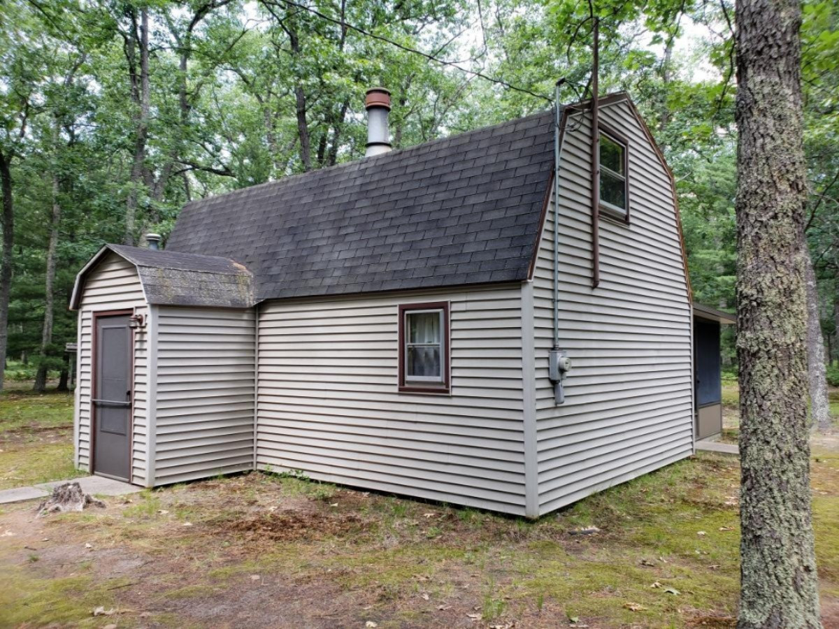 8920 South Hayes Road Baldwin, MI 49304 - Photo 1 of 21 0 Main (1)