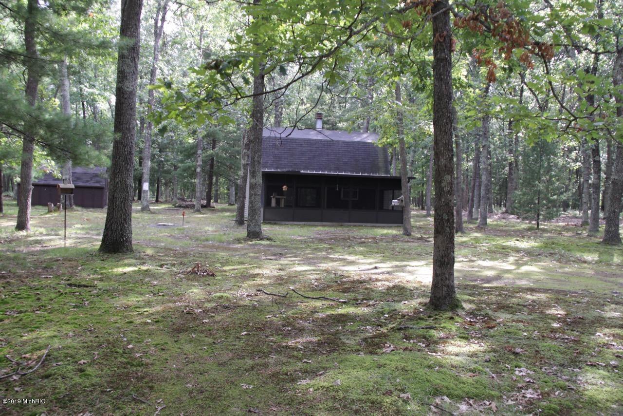 8920 South Hayes Road Baldwin, MI 49304 - Photo 5 of 21 Cottage