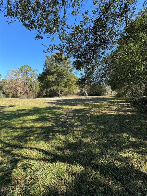 7565 Jomel Drive Weeki Wachee, FL 34607 - Photo 45 of 45