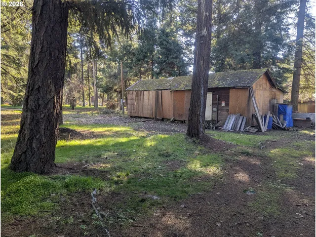 a view of a backyard with large trees and wooden fence