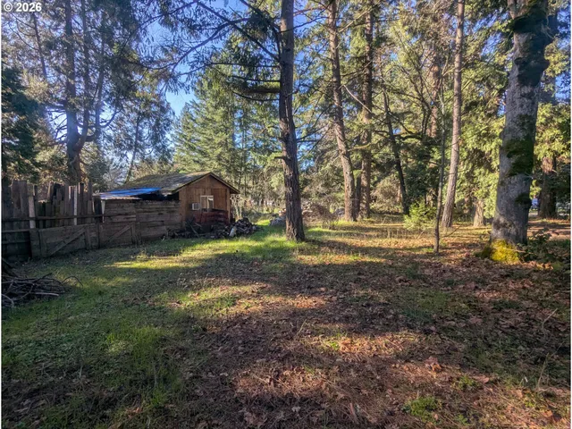a view of backyard with green space