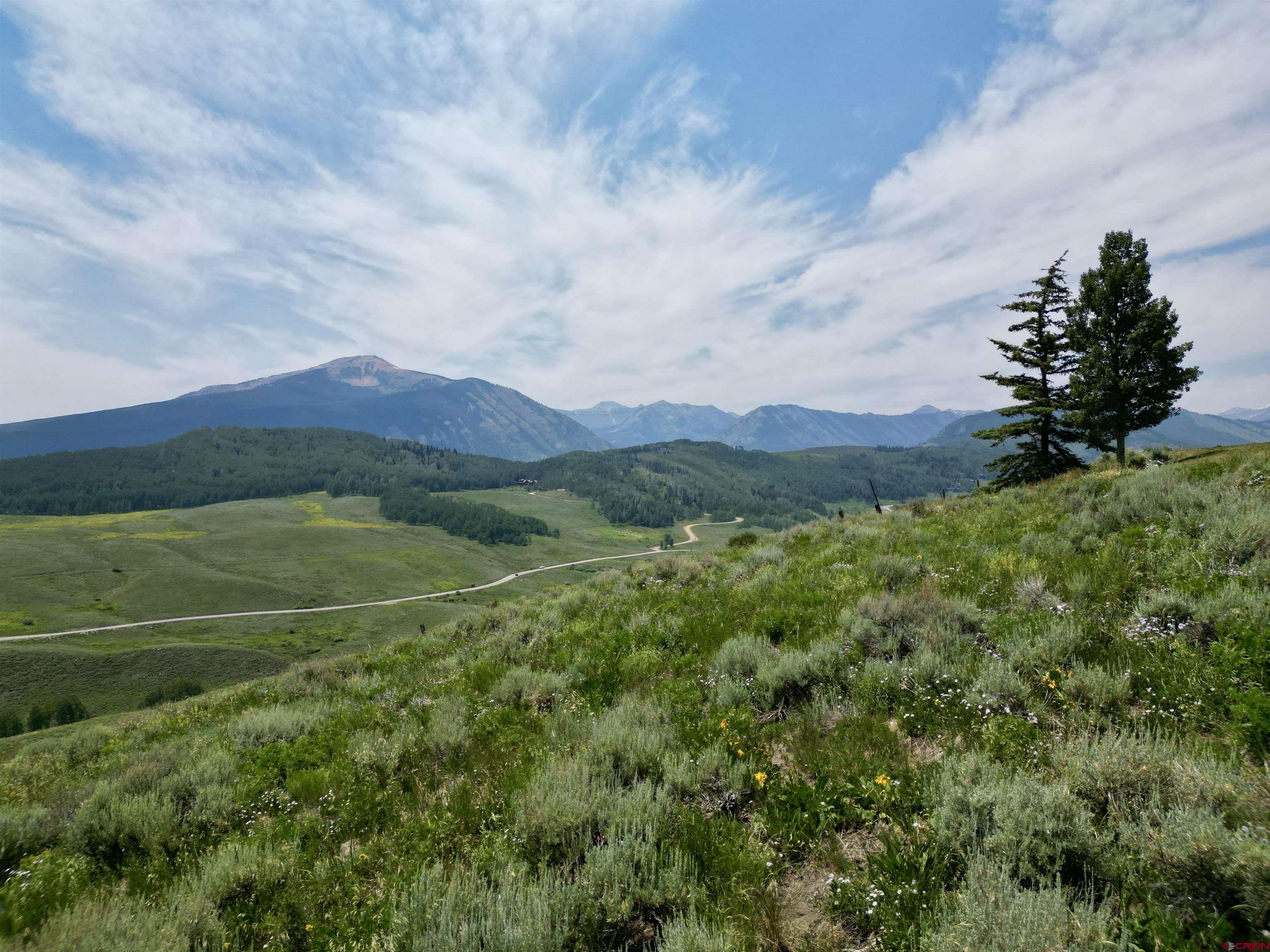 19 Buttercup Lane Crested Butte, CO 81225 - Photo 3 of 17 a view of a lush green hillside and a houses