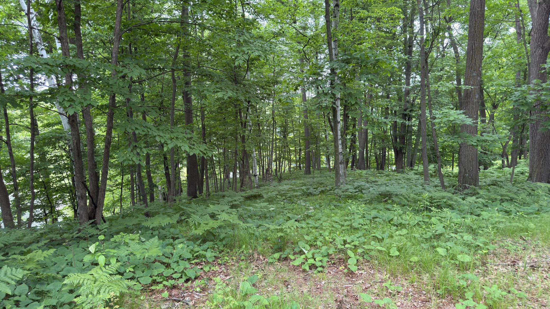 765 270th Cty Road Frederic, WI 54837 - Photo 15 of 17
