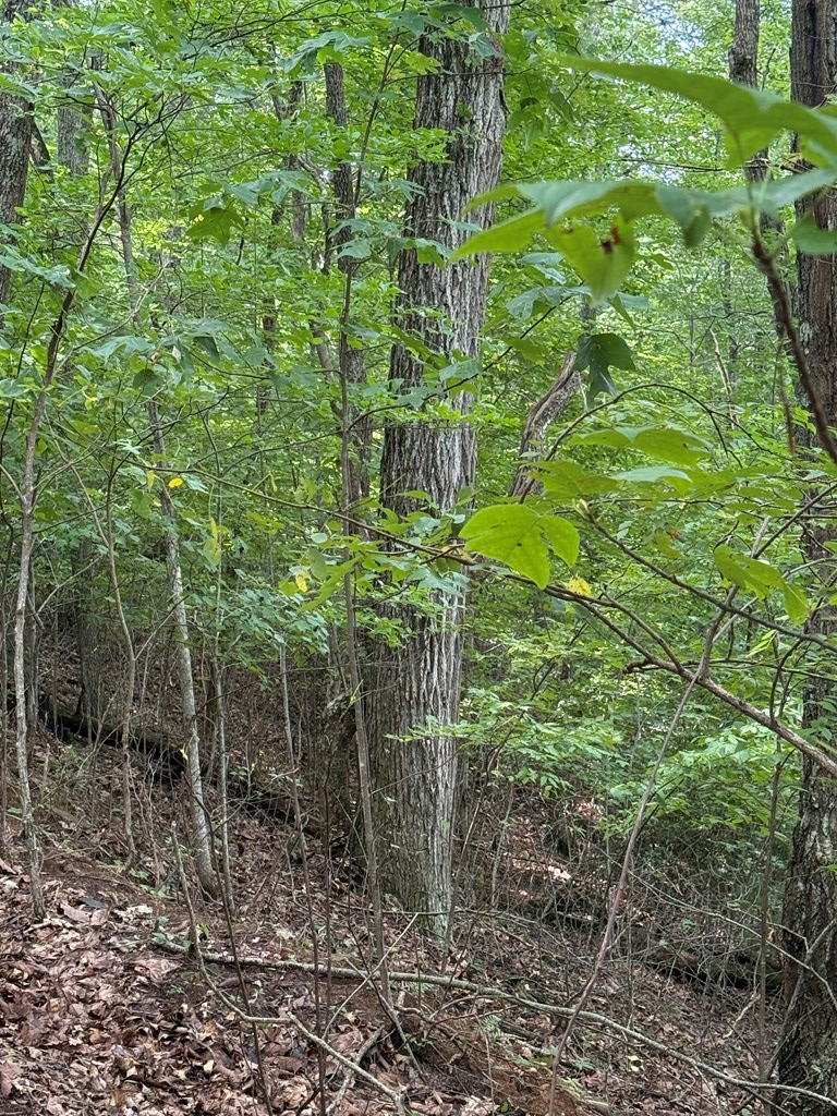 4 Morgan Ridge Drive Young Harris, GA 30582 - Photo 12 of 13