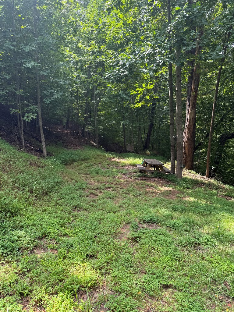 4 Morgan Ridge Drive Young Harris, GA 30582 - Photo 2 of 13