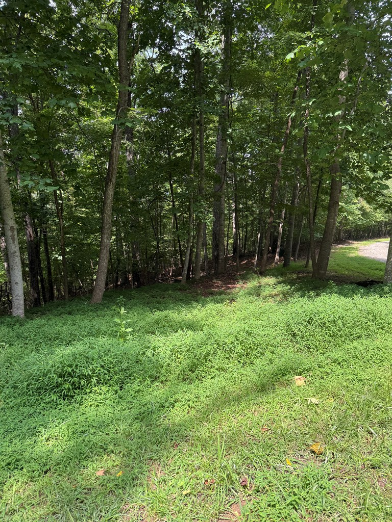 4 Morgan Ridge Drive Young Harris, GA 30582 - Photo 4 of 13