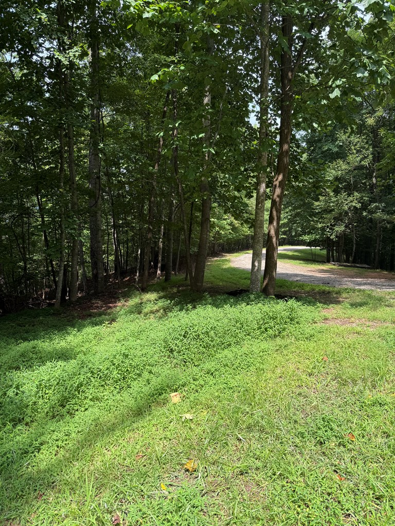 4 Morgan Ridge Drive Young Harris, GA 30582 - Photo 5 of 13