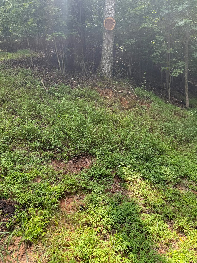 4 Morgan Ridge Drive Young Harris, GA 30582 - Photo 6 of 13