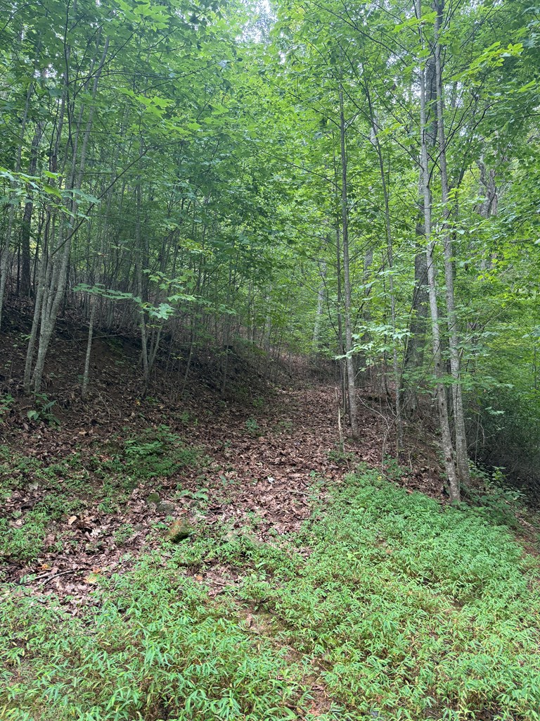 4 Morgan Ridge Drive Young Harris, GA 30582 - Photo 7 of 13