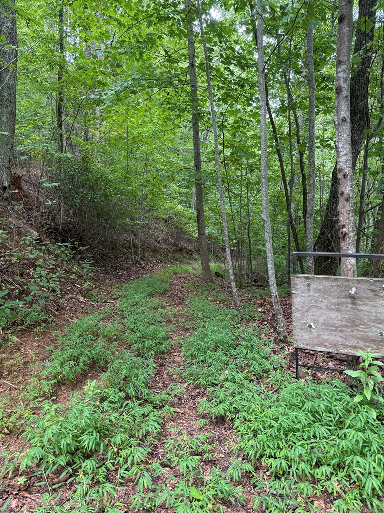 4 Morgan Ridge Drive Young Harris, GA 30582 - Photo 8 of 13