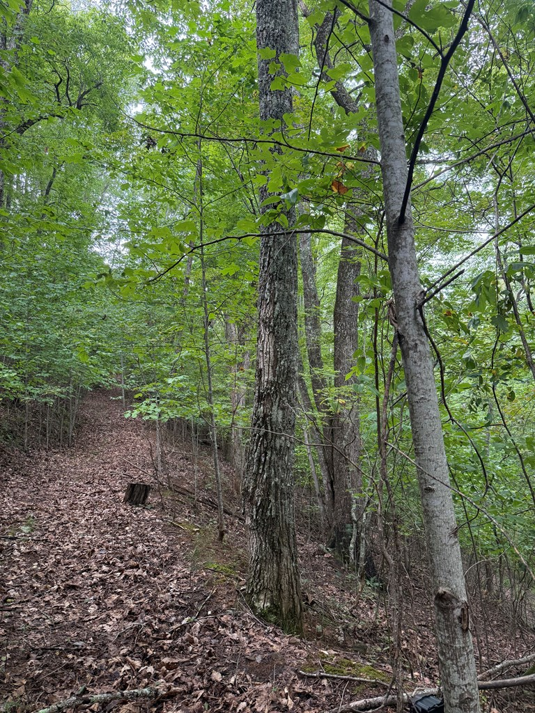 4 Morgan Ridge Drive Young Harris, GA 30582 - Photo 9 of 13