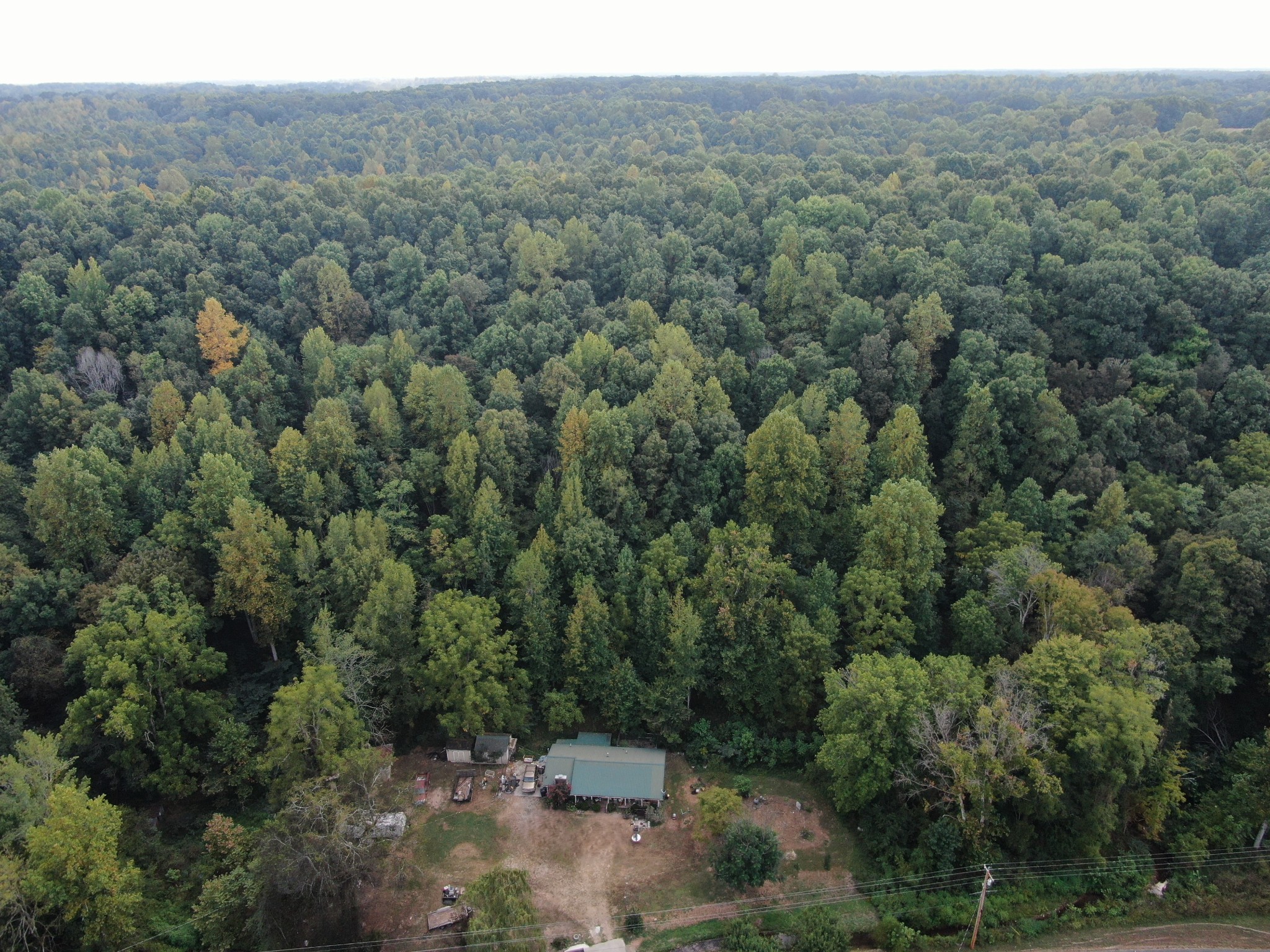 555 Myrick Branch Road Pulaski, TN 38478 - Photo 4 of 40 a view of a forest with a street