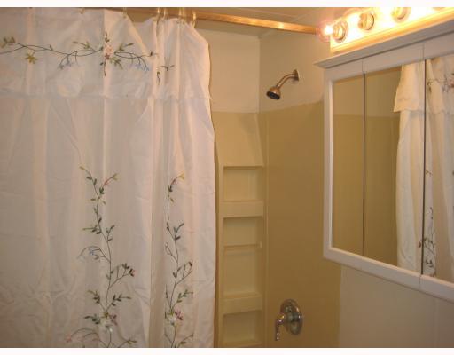 428 Wray Large Road Jefferson Hills, PA 15025 - Photo 9 of 15 Other. updated bath