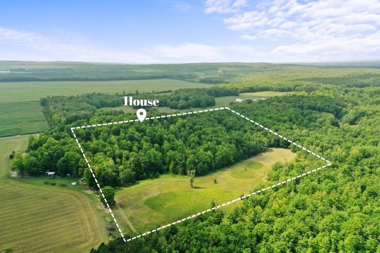 3605 South Nelson Road Merritt, MI 49667 - Photo 14 of 48