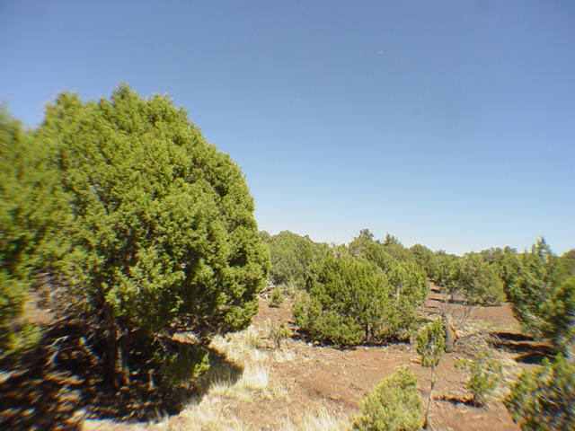 48 Woodside Trail Show Low, AZ 85901 - Photo 2 of 3