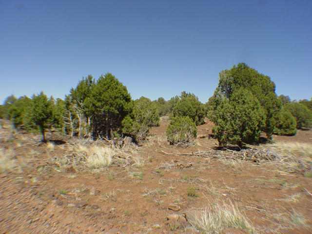 48 Woodside Trail Show Low, AZ 85901 - Photo 3 of 3