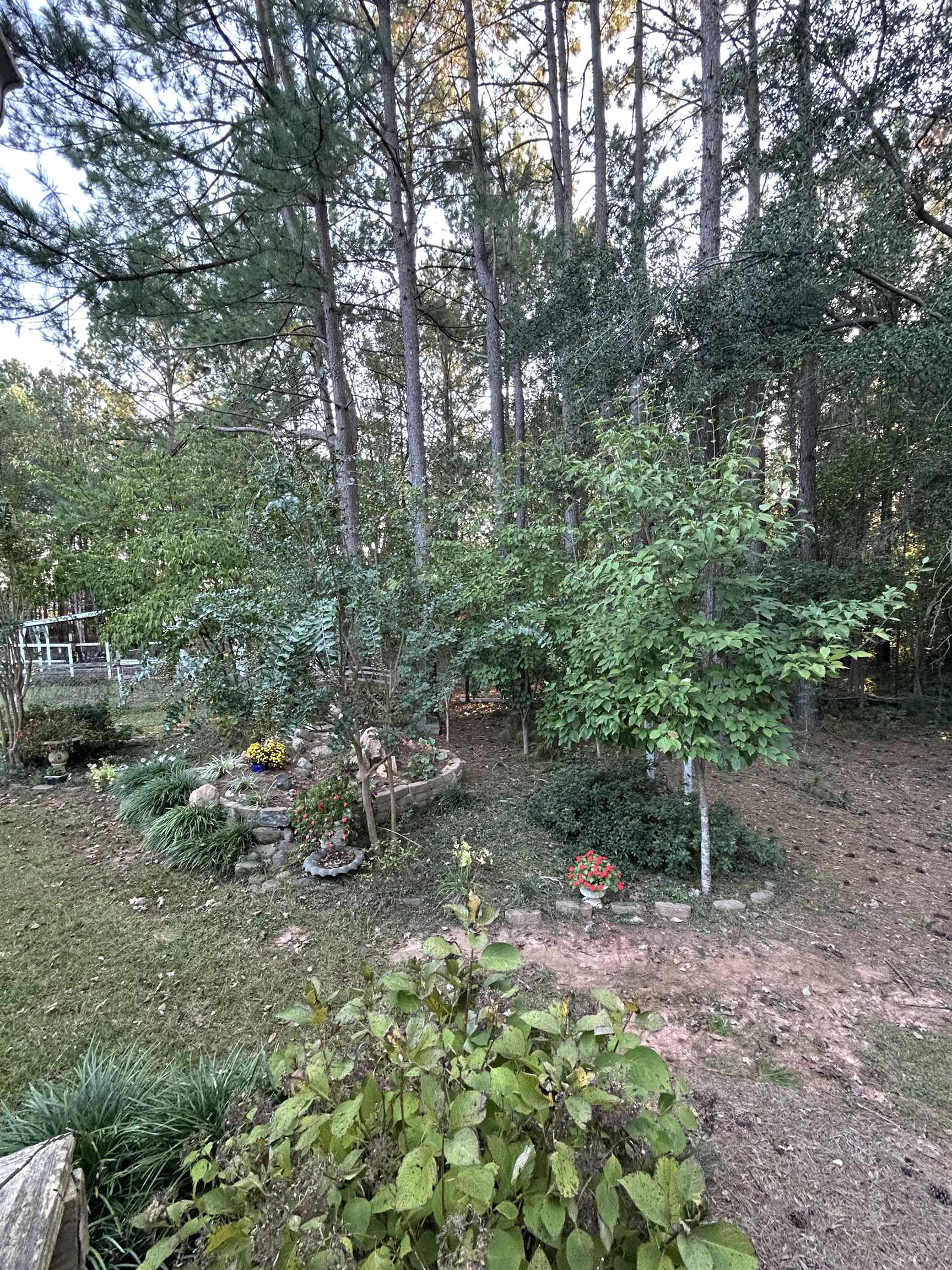 355 Mason Road Boiling Springs, SC 29316 - Photo 15 of 18