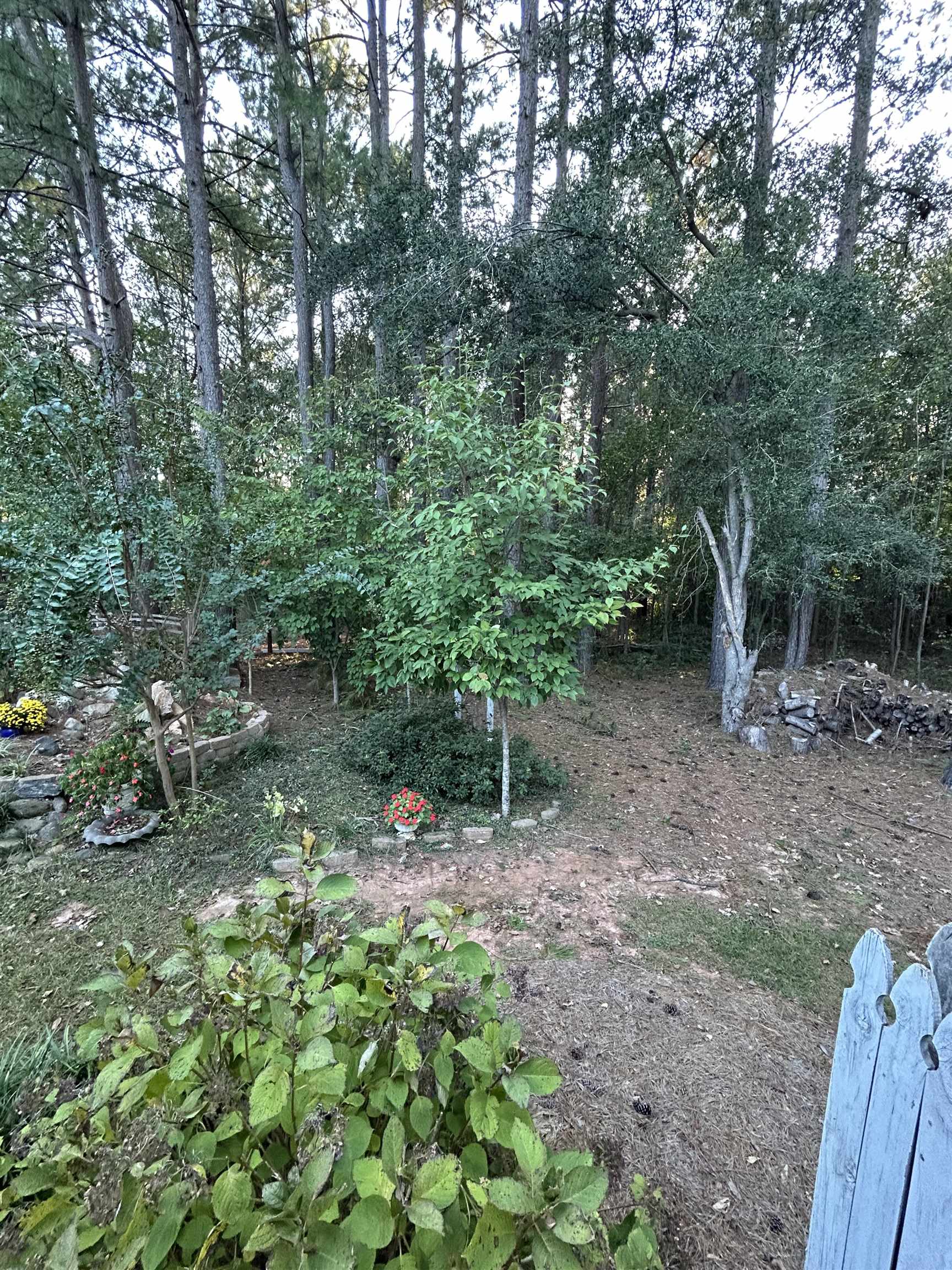 355 Mason Road Boiling Springs, SC 29316 - Photo 16 of 18