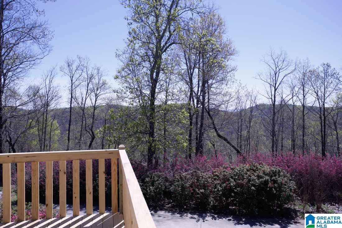 7625 Old Springville Road Trussville, AL 35173 - Photo 39 of 49
