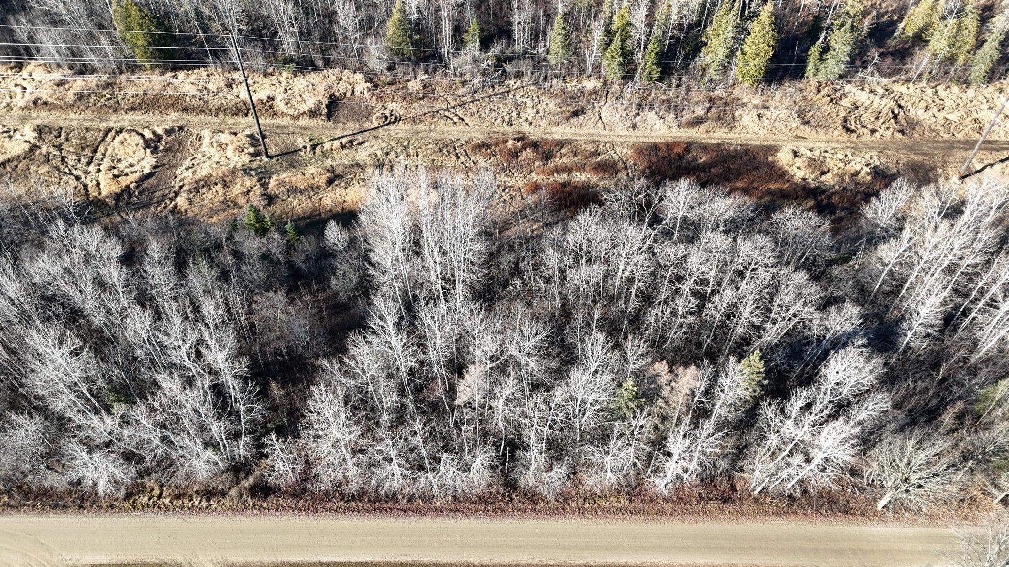 Parcel A Parcel A Parameter Road Deer River, MN 56636 - Photo 3 of 15