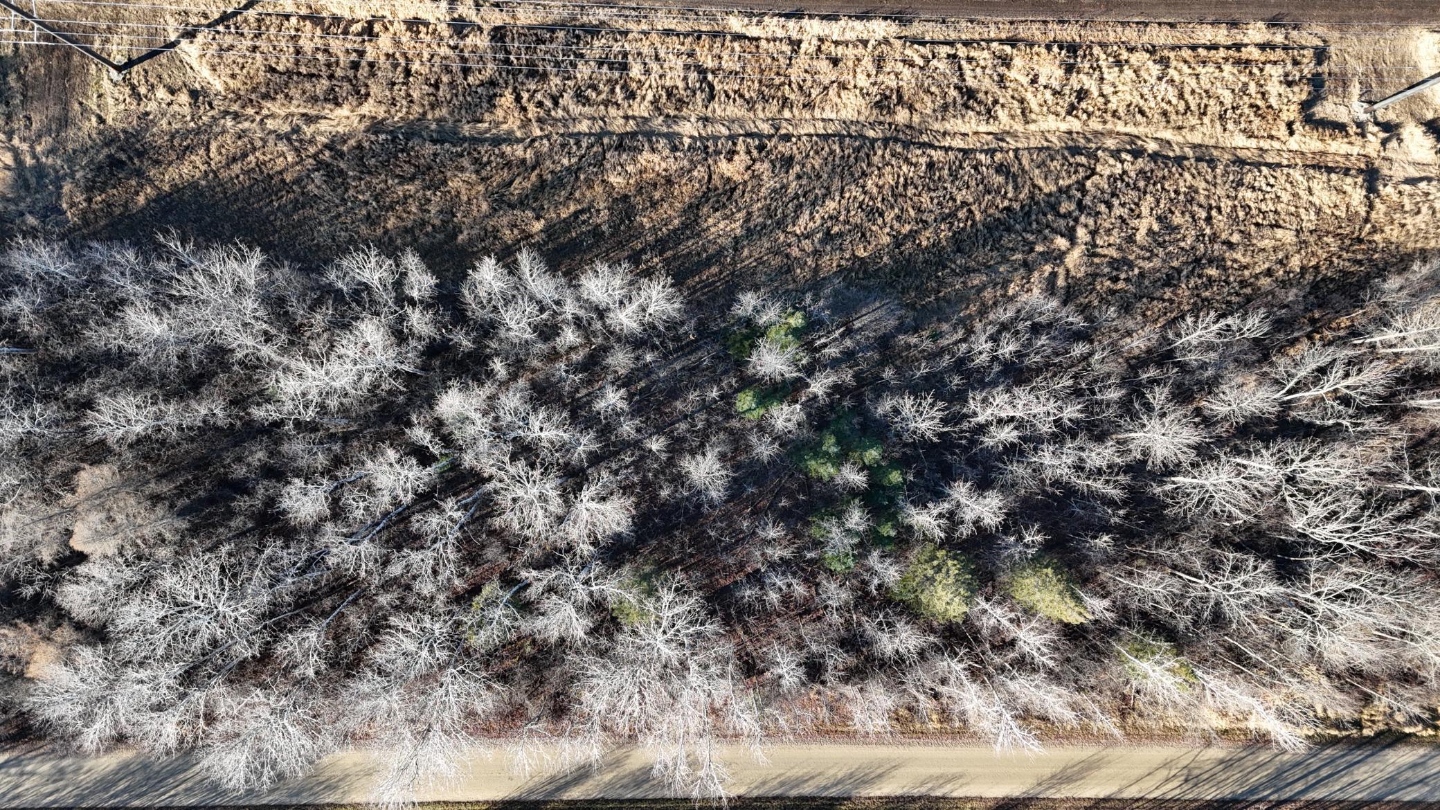 Parcel A Parcel A Parameter Road Deer River, MN 56636 - Photo 8 of 15