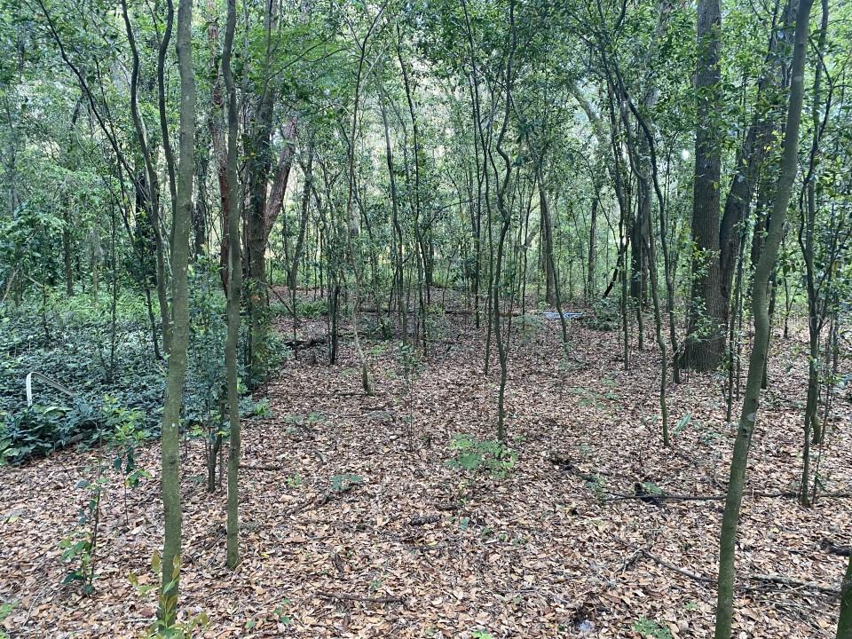 0 Townsend House Road Dade City, FL 33523 - Photo 1 of 1