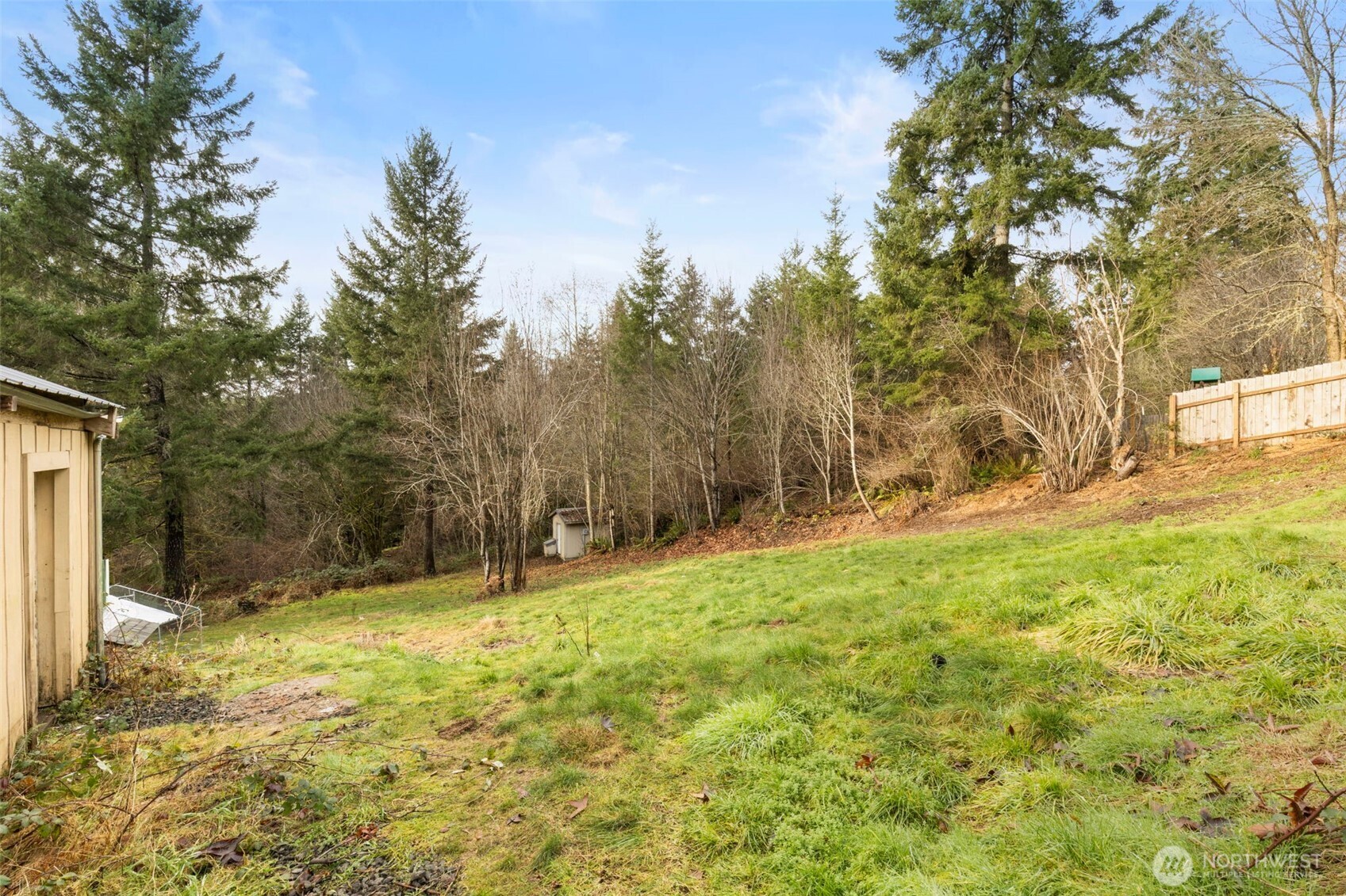 421 Northeast Cutlass Way Belfair, WA 98528 - Photo 30 of 35 a view of yard with tree
