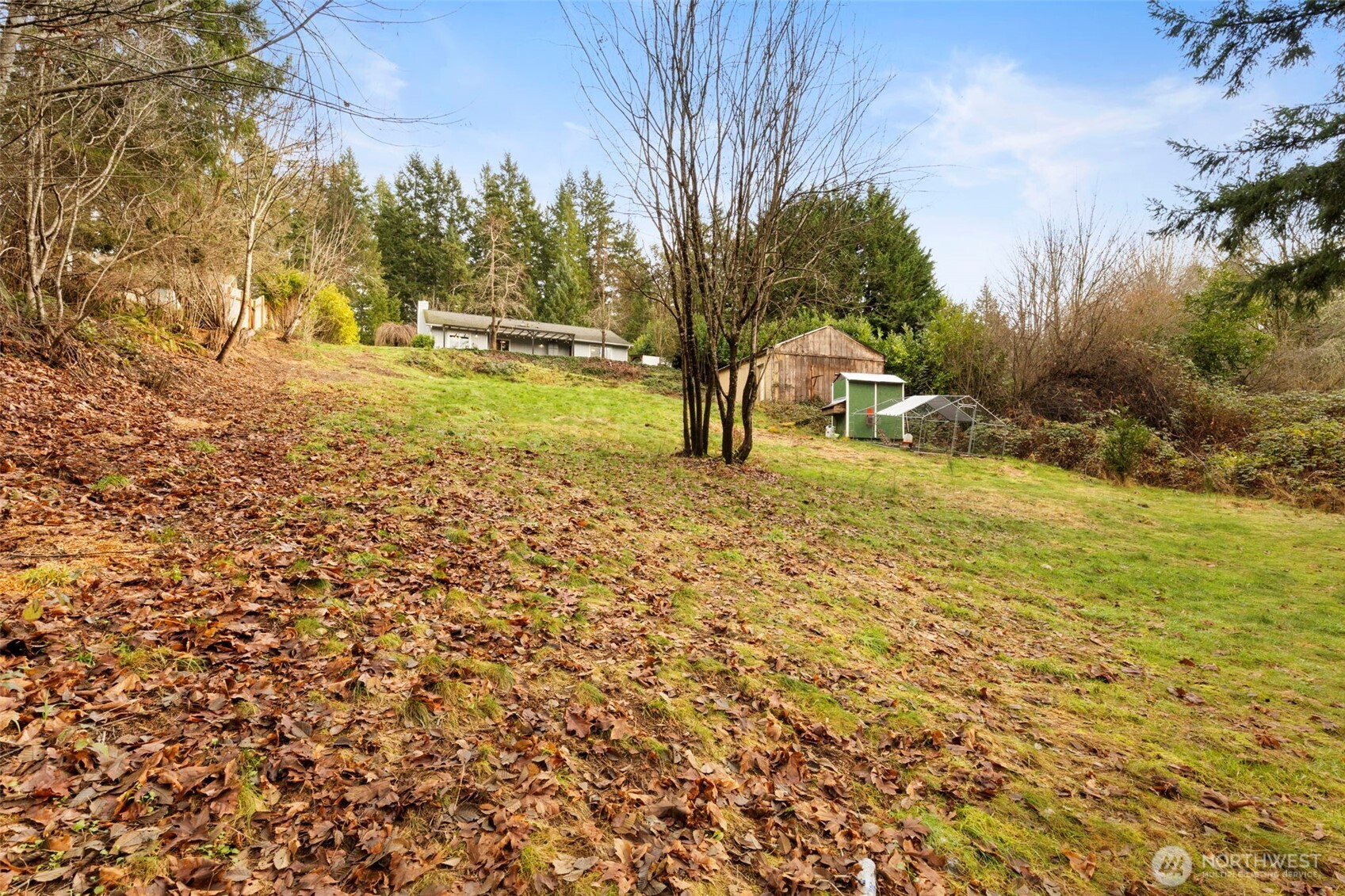 421 Northeast Cutlass Way Belfair, WA 98528 - Photo 31 of 35 a view of a yard with an trees