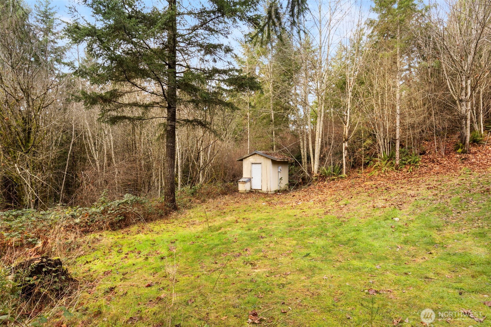 421 Northeast Cutlass Way Belfair, WA 98528 - Photo 33 of 35 a fire hydrant in the middle of a field