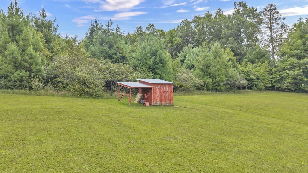 393 Beagle Club Road Jumping Branch, WV 25969 - Photo 17 of 55 Gallery Image 17