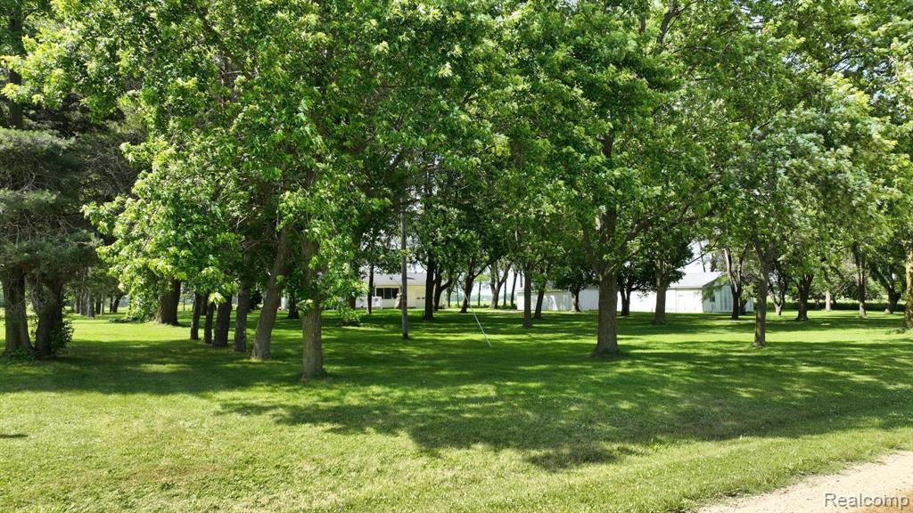 9195 Shipman Road Corunna, MI 48817 - Photo 29 of 31