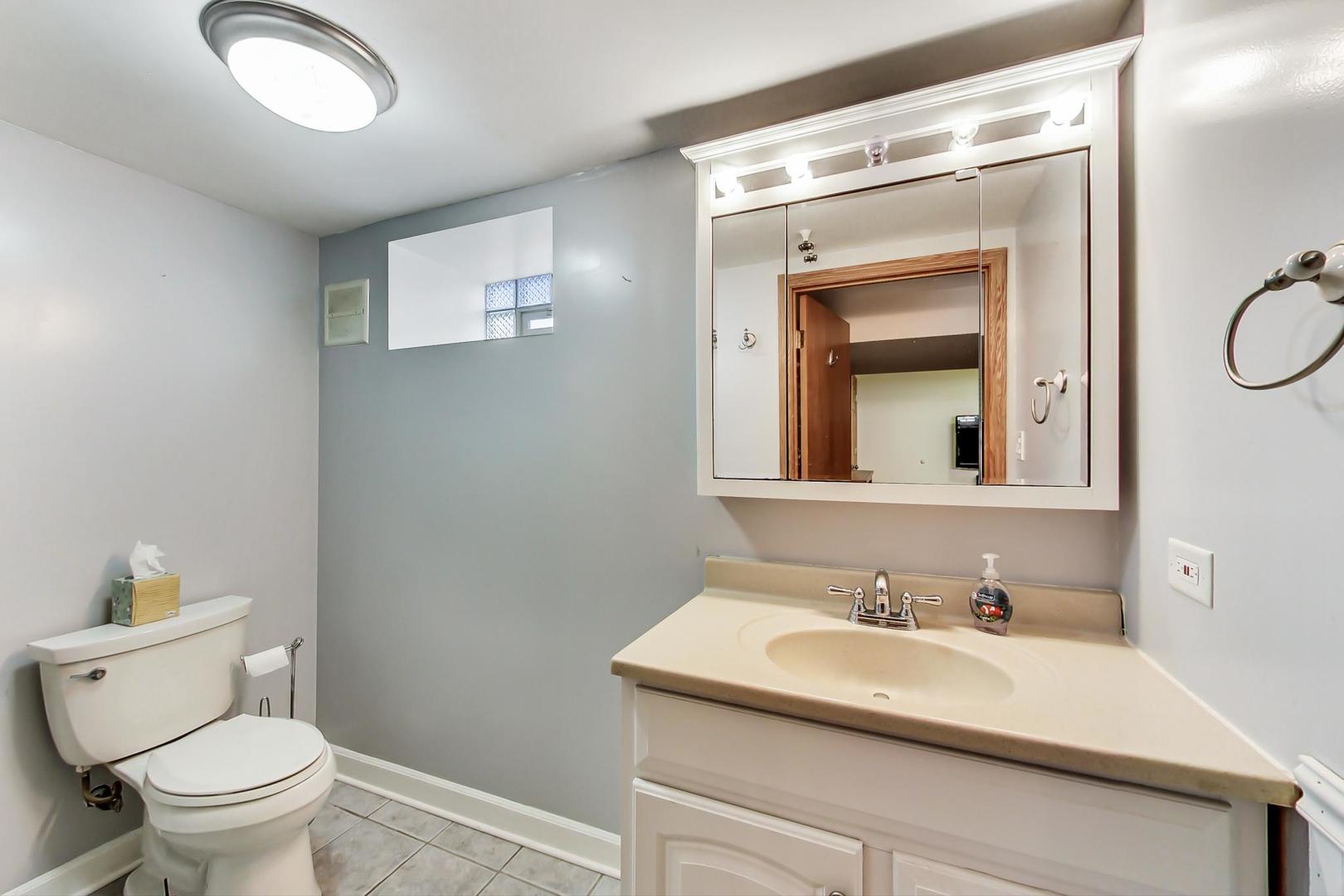 2717 West Rascher Avenue Chicago, IL 60625 - Photo 17 of 37 a bathroom with a sink vanity mirror and toilet