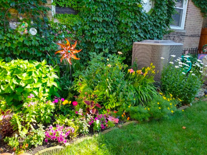 2717 West Rascher Avenue Chicago, IL 60625 - Photo 35 of 37 a picture of flowers