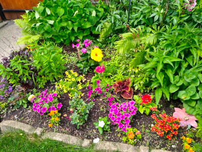 2717 West Rascher Avenue Chicago, IL 60625 - Photo 36 of 37 a flower view
