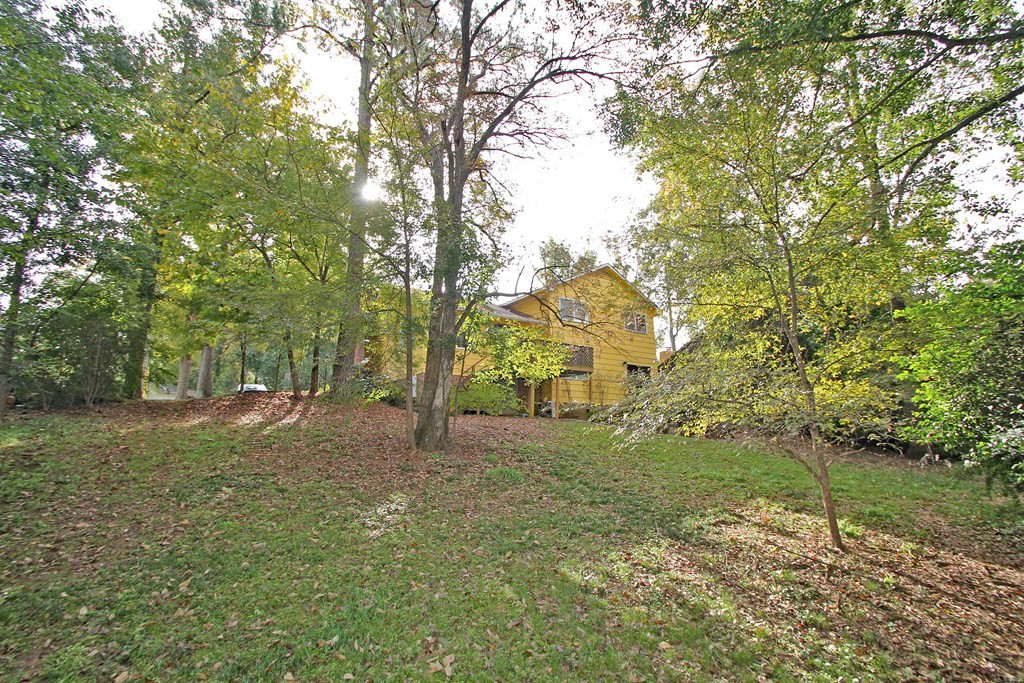 1205 River Ridge Drive Augusta, GA 30909 - Photo 27 of 27 back yard 3