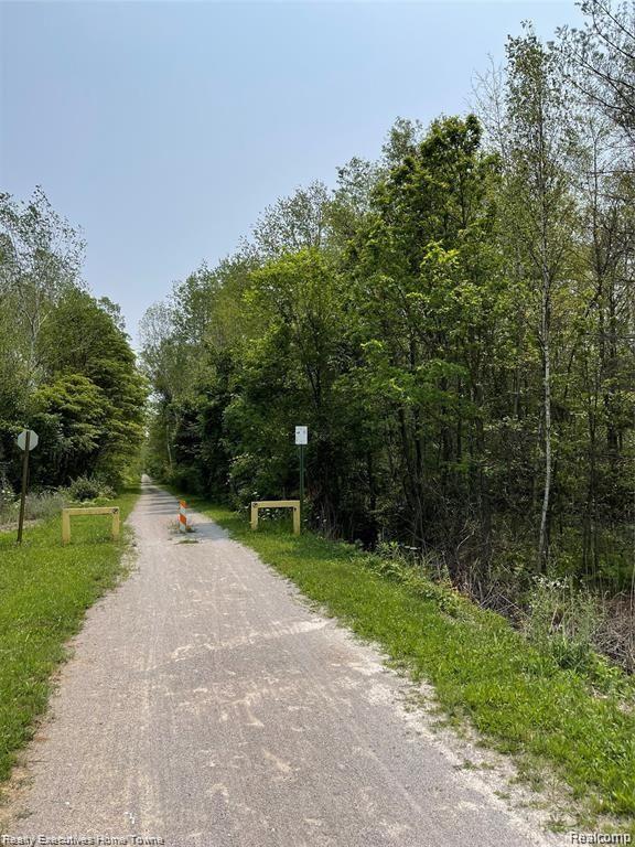 0 Rabidue Road North Street, MI 48049 - Photo 2 of 6