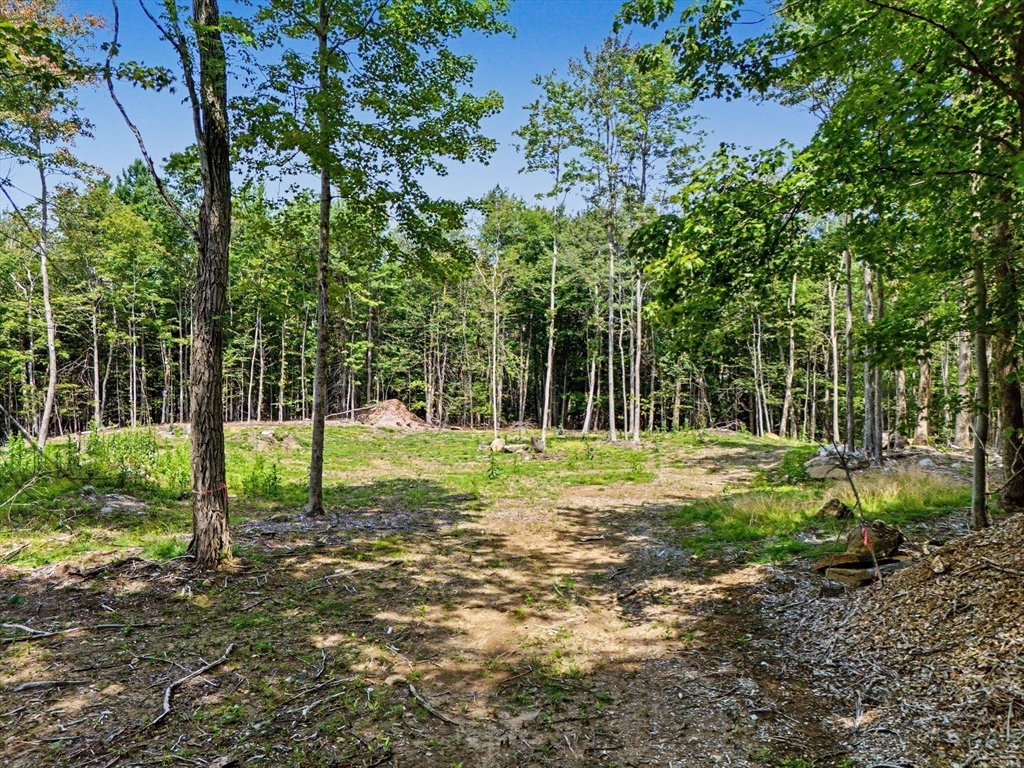 951 West Road Ashfield, MA 01330 - Photo 8 of 30 Gallery Image 8