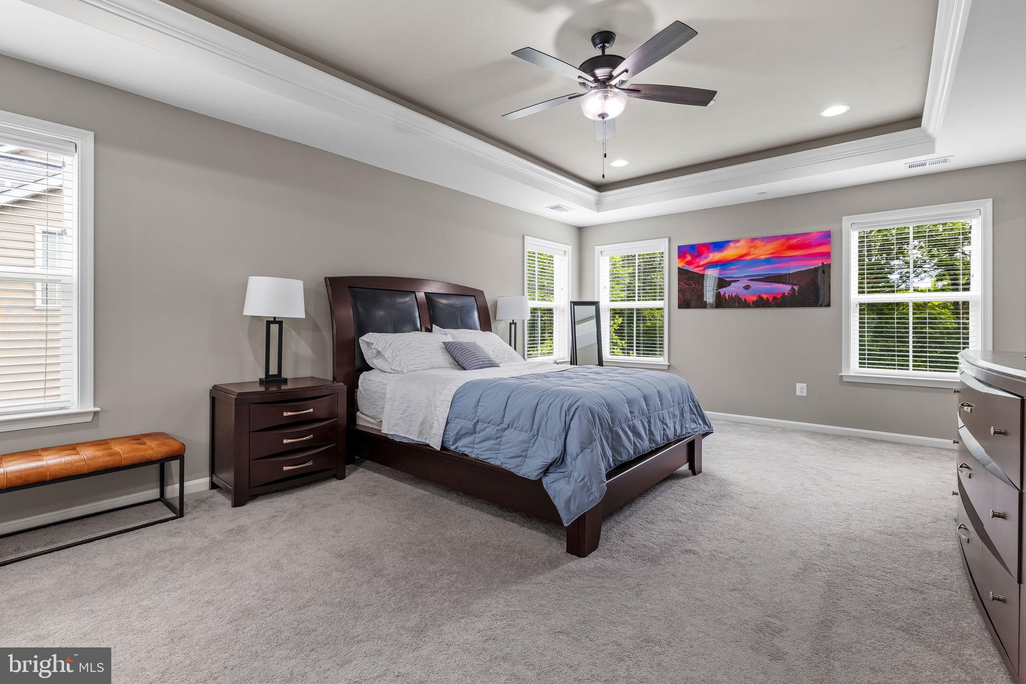 14536 Black Ankle Road Mount Airy, MD 21771 - Photo 17 of 41 Spacious bedroom with natural light.