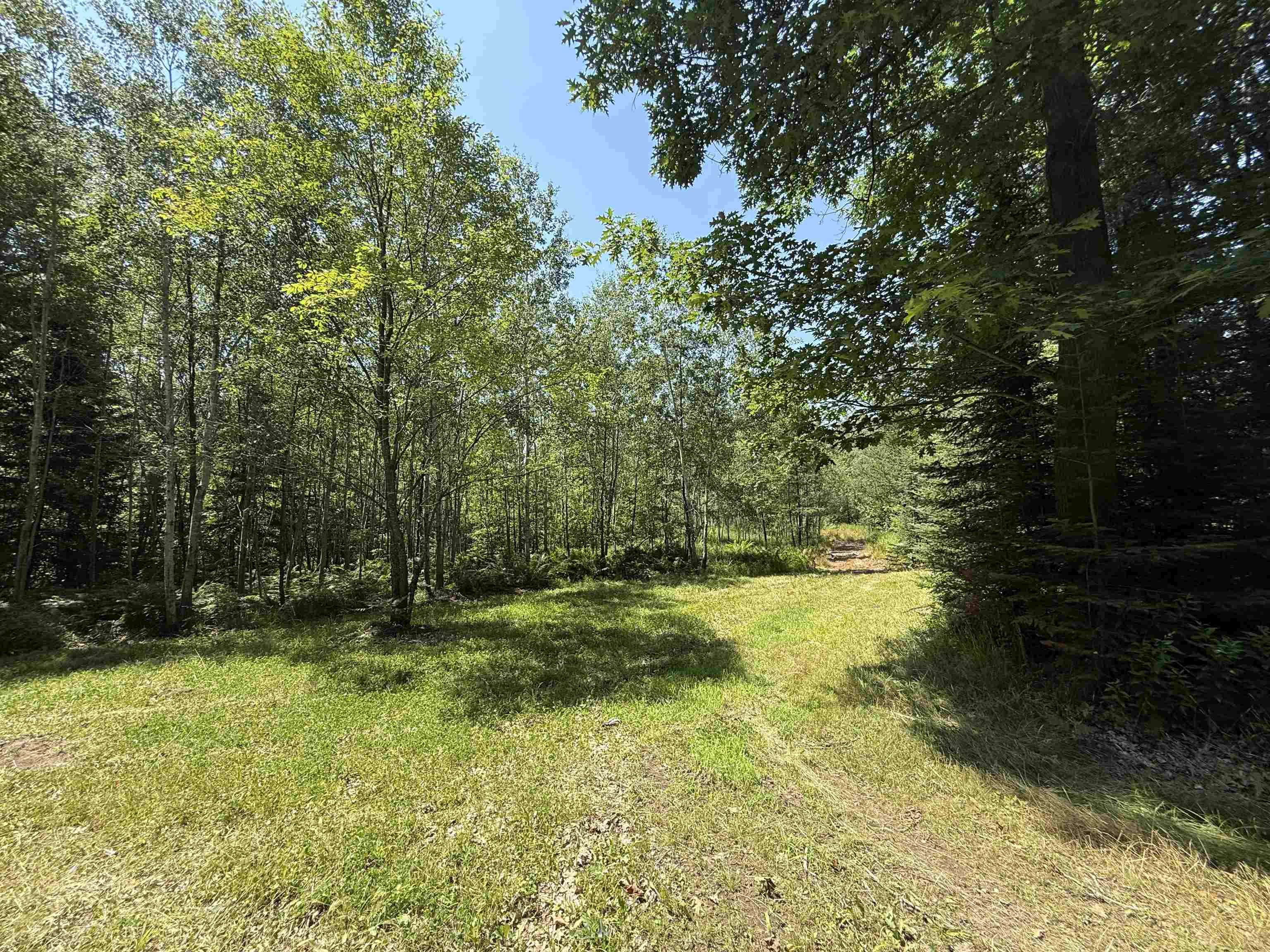 Red Hickory Road Eland, WI 54427 - Photo 17 of 28