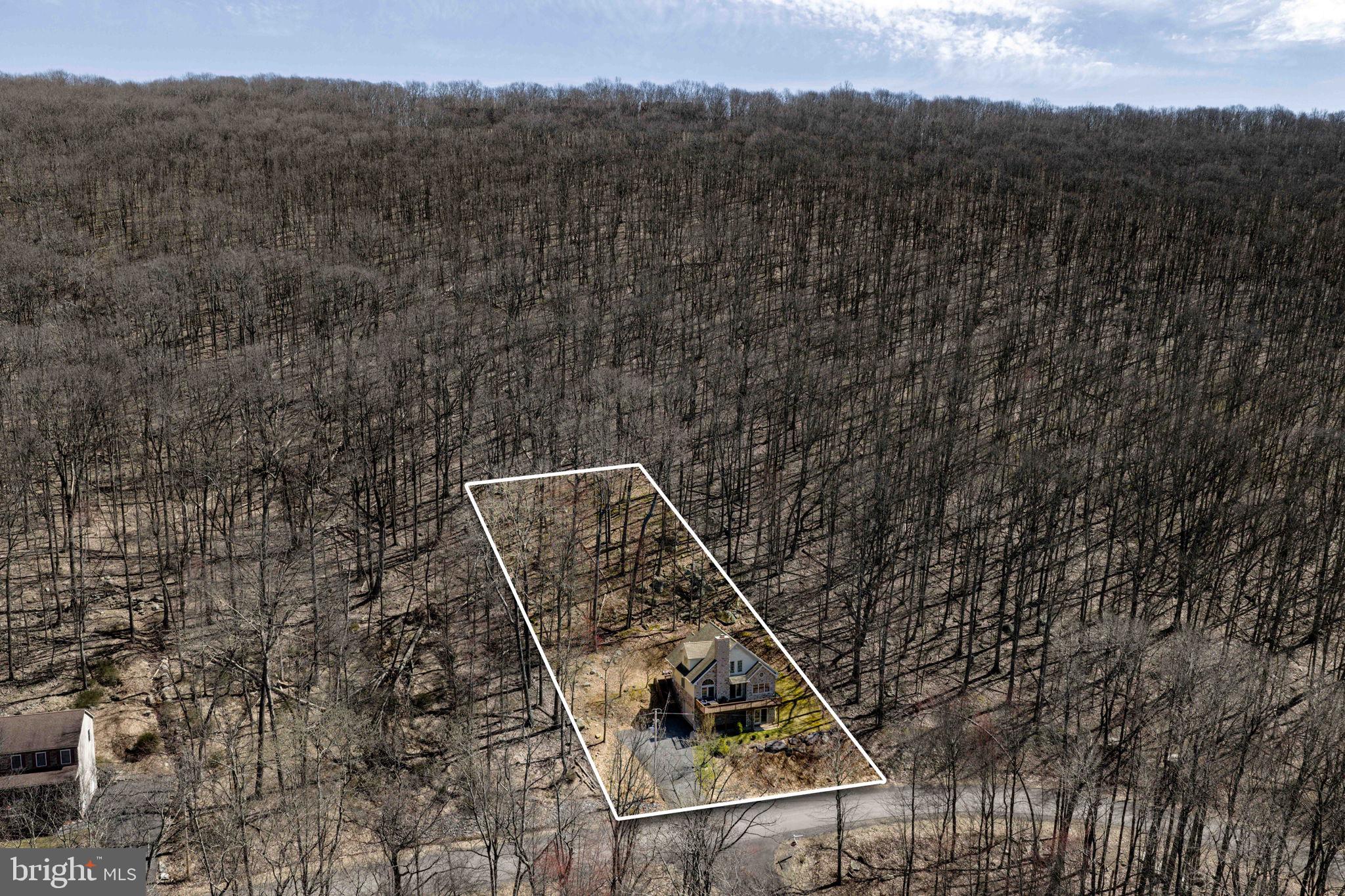 154 Kickapoo Drive Hazleton, PA 18202 - Photo 13 of 87 Secluded retreat amidst towering trees.