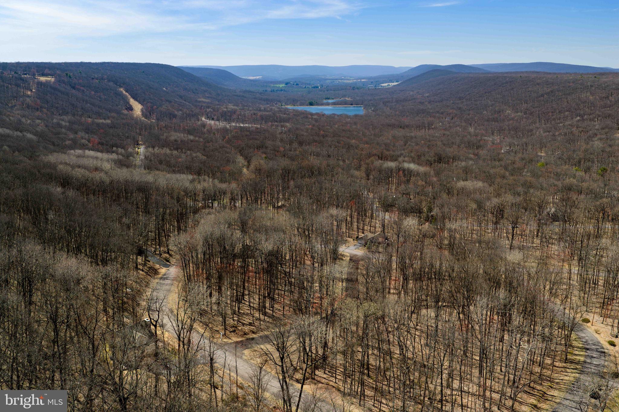 154 Kickapoo Drive Hazleton, PA 18202 - Photo 17 of 87 Serene woodland landscape unfolds.