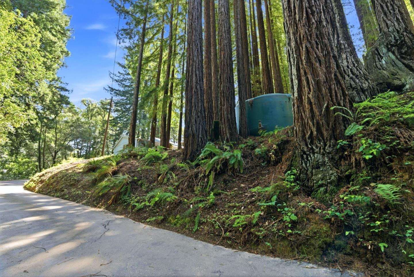 1460 Tucker Road Scotts Valley, CA 95066 - Photo 20 of 32 a view of a garden