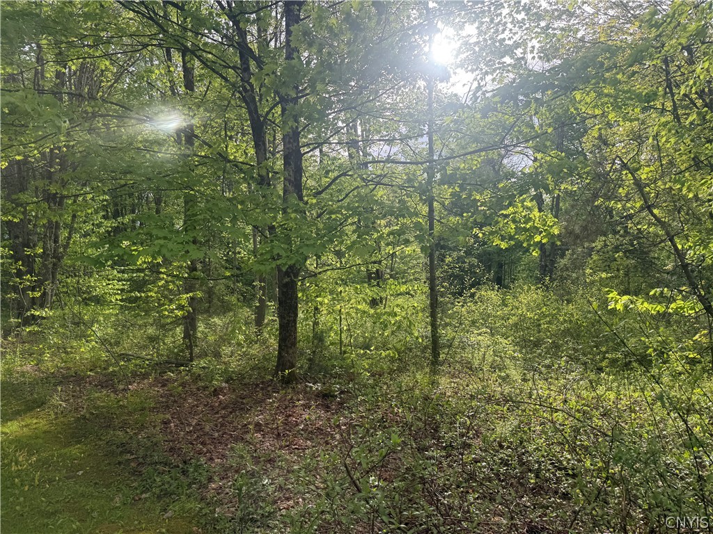 Lot #9 Lost Ridge Road, Unit 9 Camden, NY 13316 - Photo 2 of 27