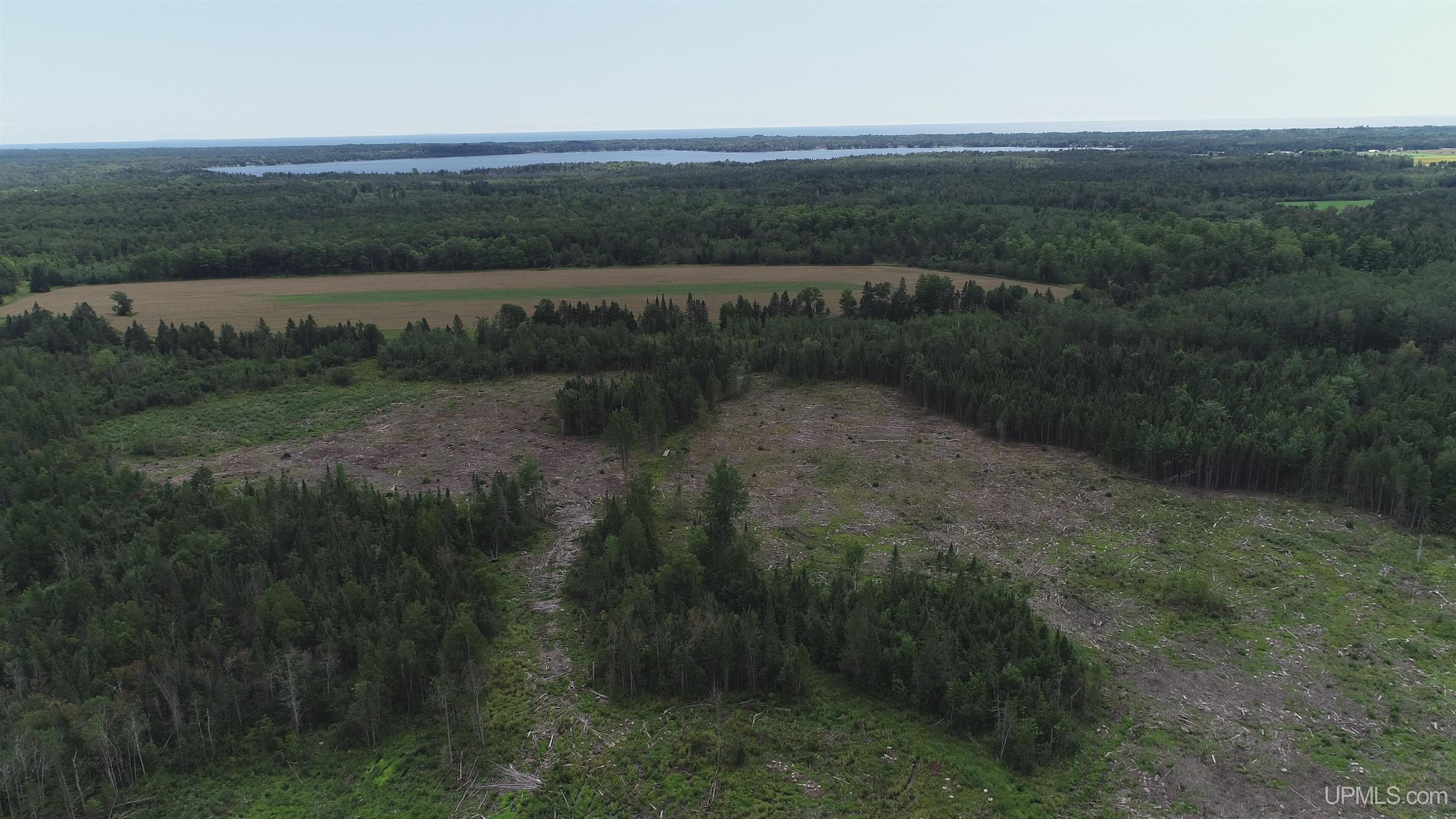 160-acres Halverson Road Gulliver, MI 49840 - Photo 35 of 35