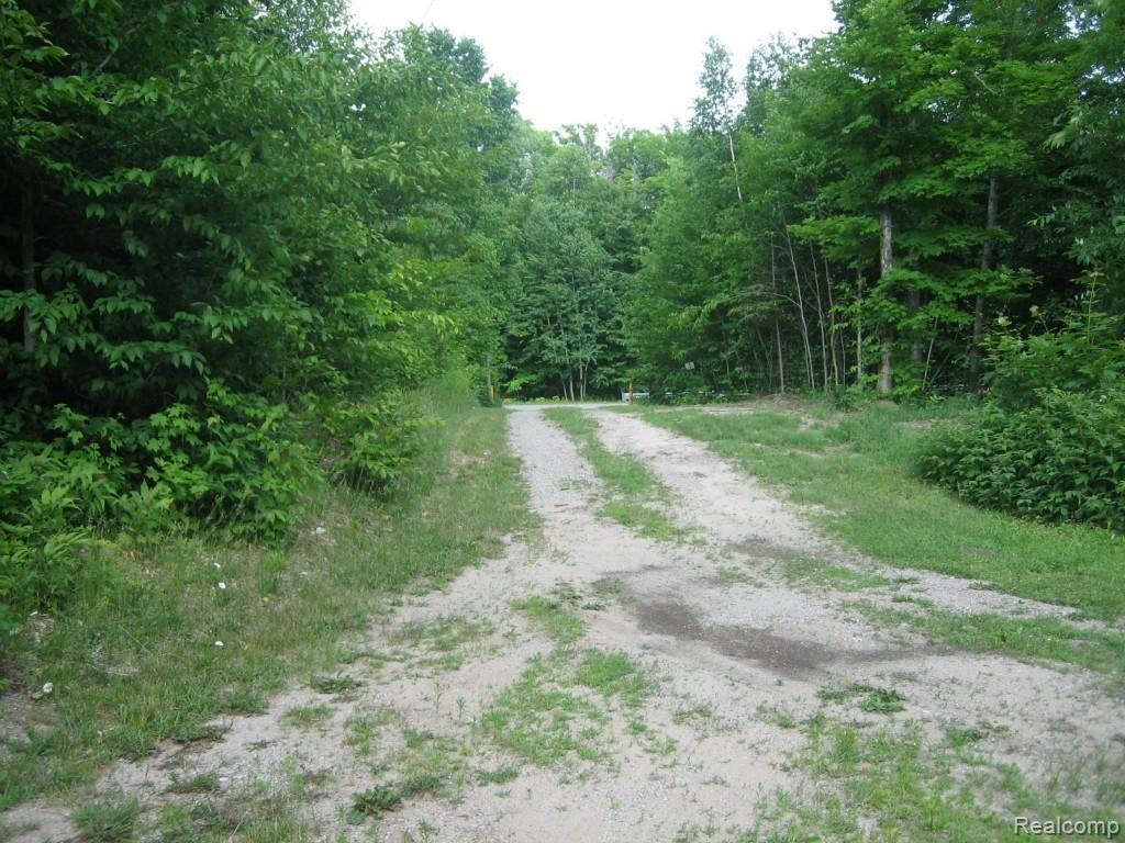 11326 South Hulbert Road Hulbert, MI 49748 - Photo 16 of 43 036.jpg