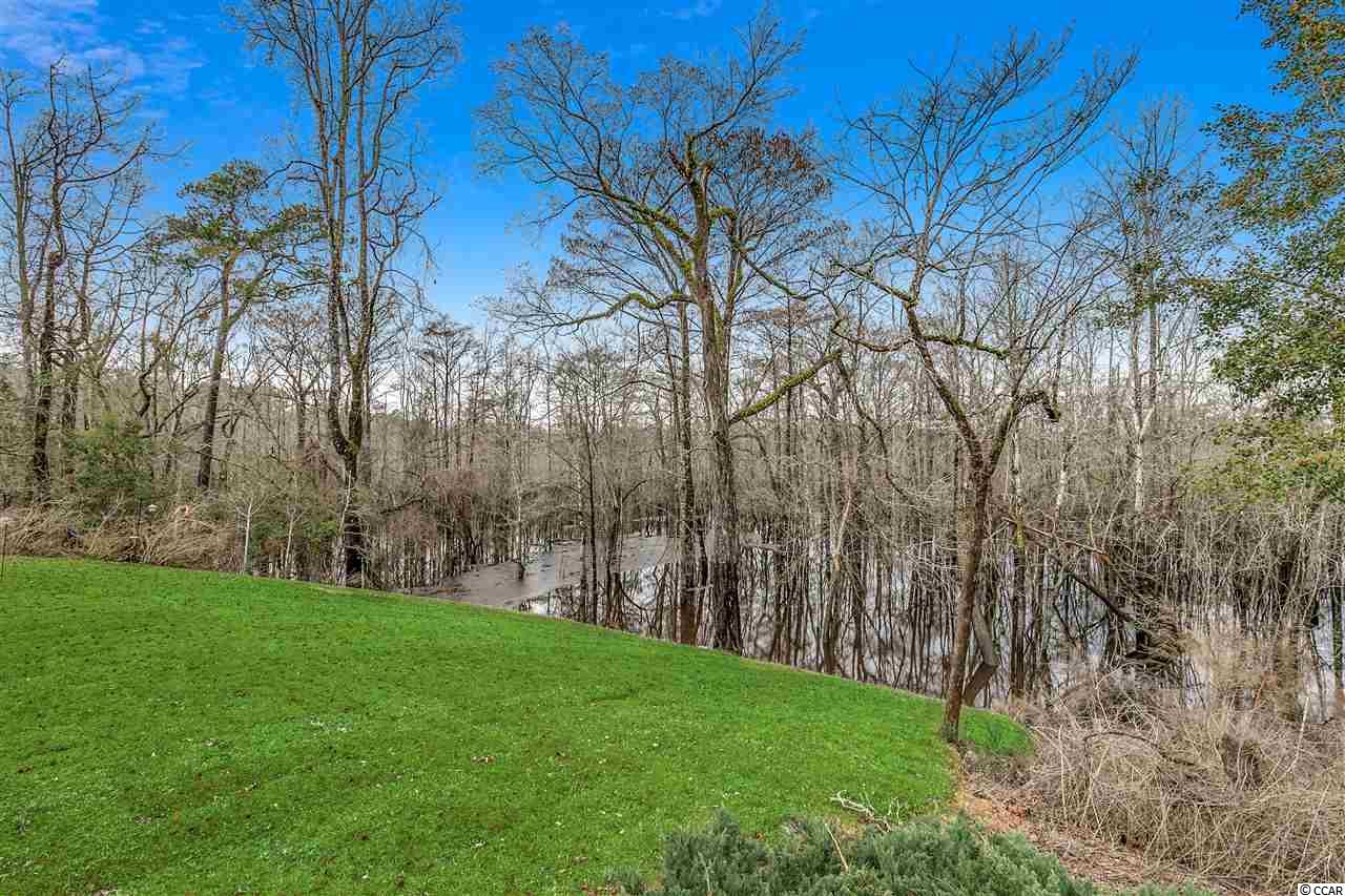 238 Rivers Edge Drive Conway, SC 29526 - Photo 24 of 31 Gallery Image 24