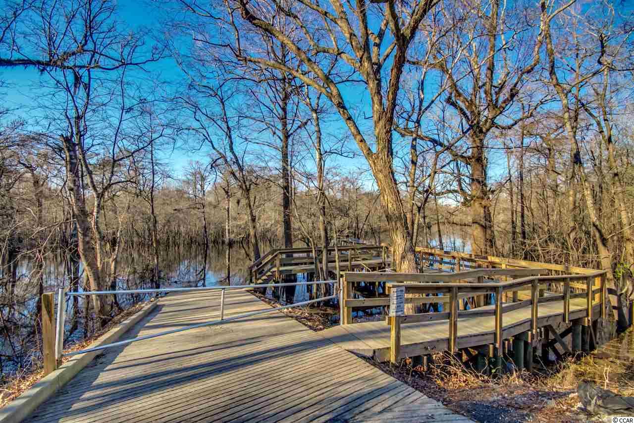 238 Rivers Edge Drive Conway, SC 29526 - Photo 27 of 31 Gallery Image 27