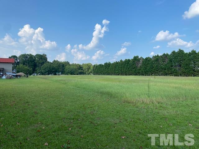 3614 Holly Grove Road Benson, NC 27504 - Photo 24 of 30 a view of a golf course with a fountain